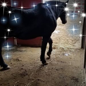 Meet your Posher, Debbie